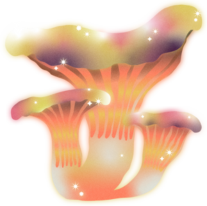 Dreamy Psychedelic Mushrooms